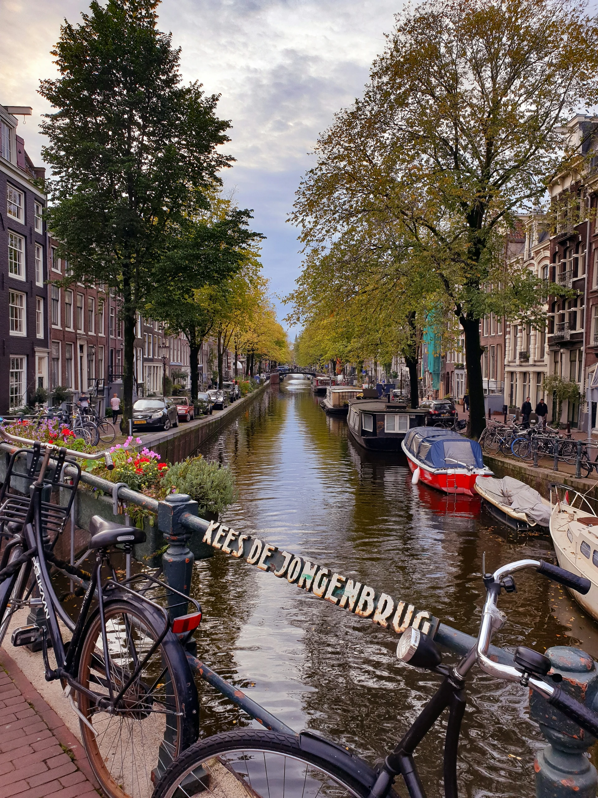 Bicycles parked on a quiet, tree-lined canal bridge